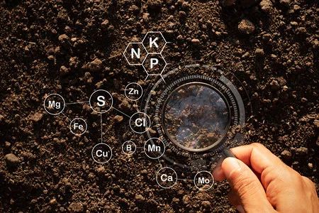 1682057177900884.jpeg 640-2.jpeg